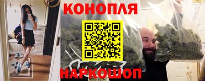 крисы Ливны