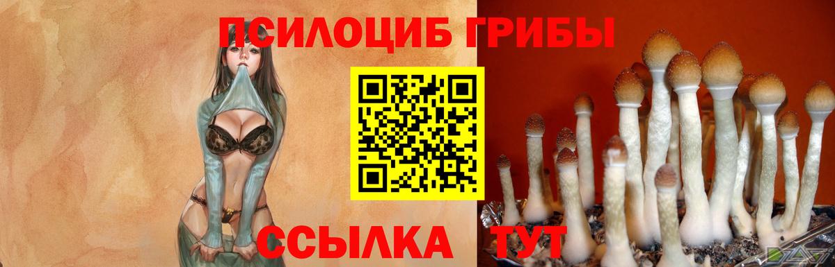 Галлюциногенные грибы GOLDEN TEACHER Грозный